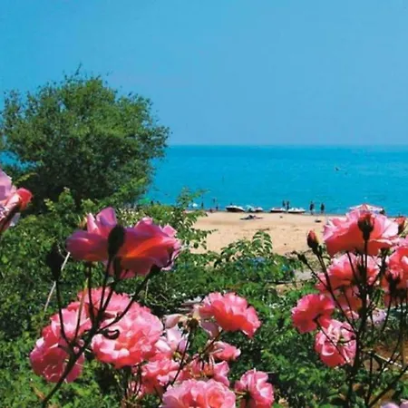 Apartament Tsar Petar 아파트 *